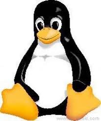 Manual online de Linux