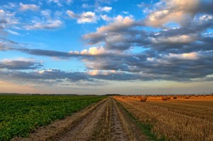 Curso gratis de agricultura ecológica